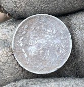 Metal detecting coin finds