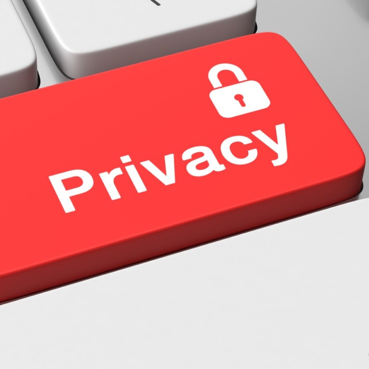 Metal detecting coin finds