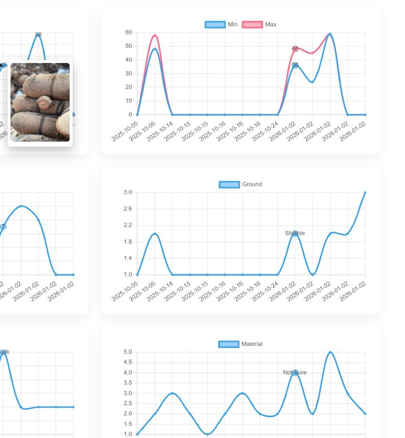 Metal detecting coin finds