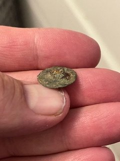 Community find image