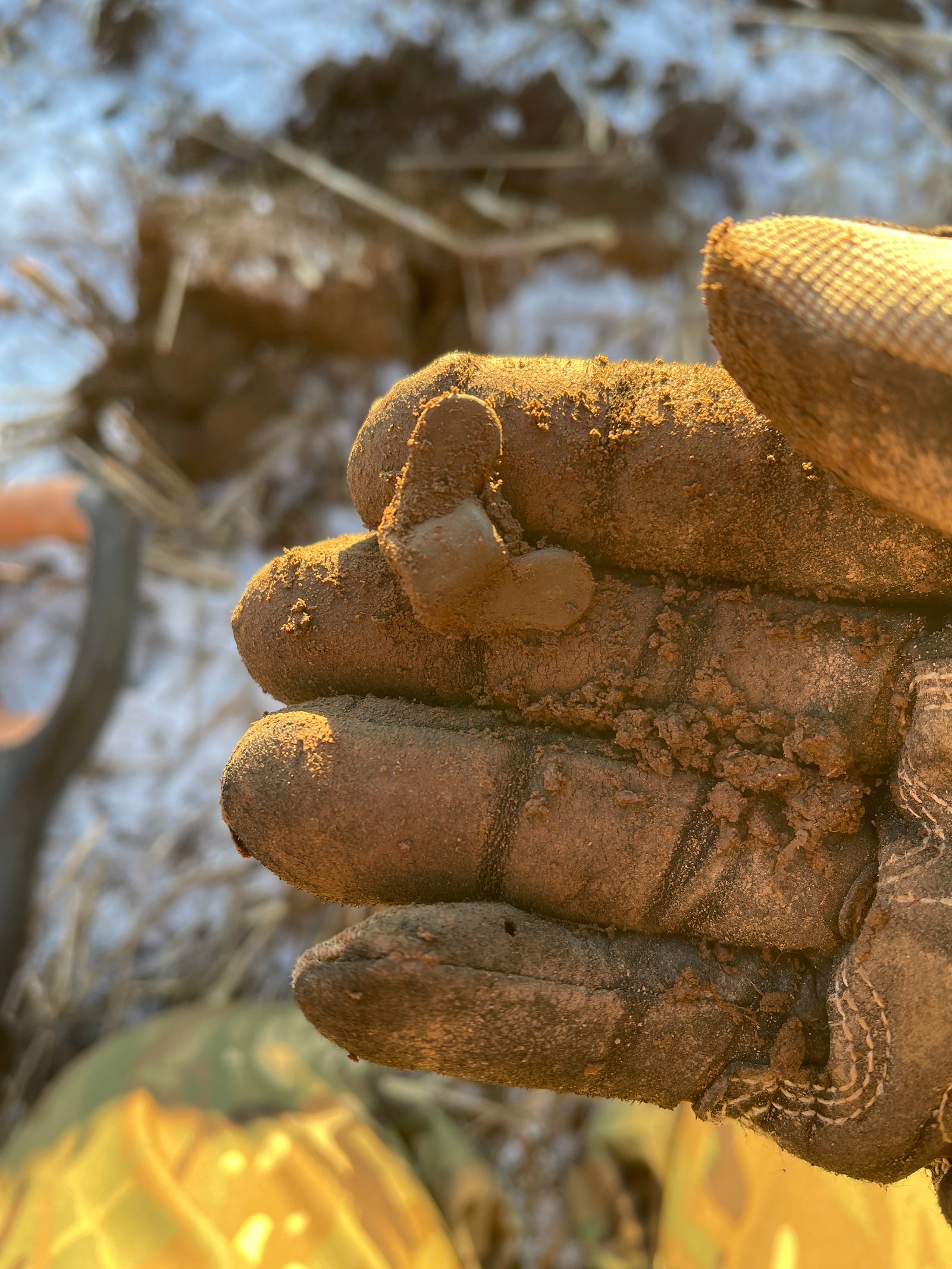 Community find image