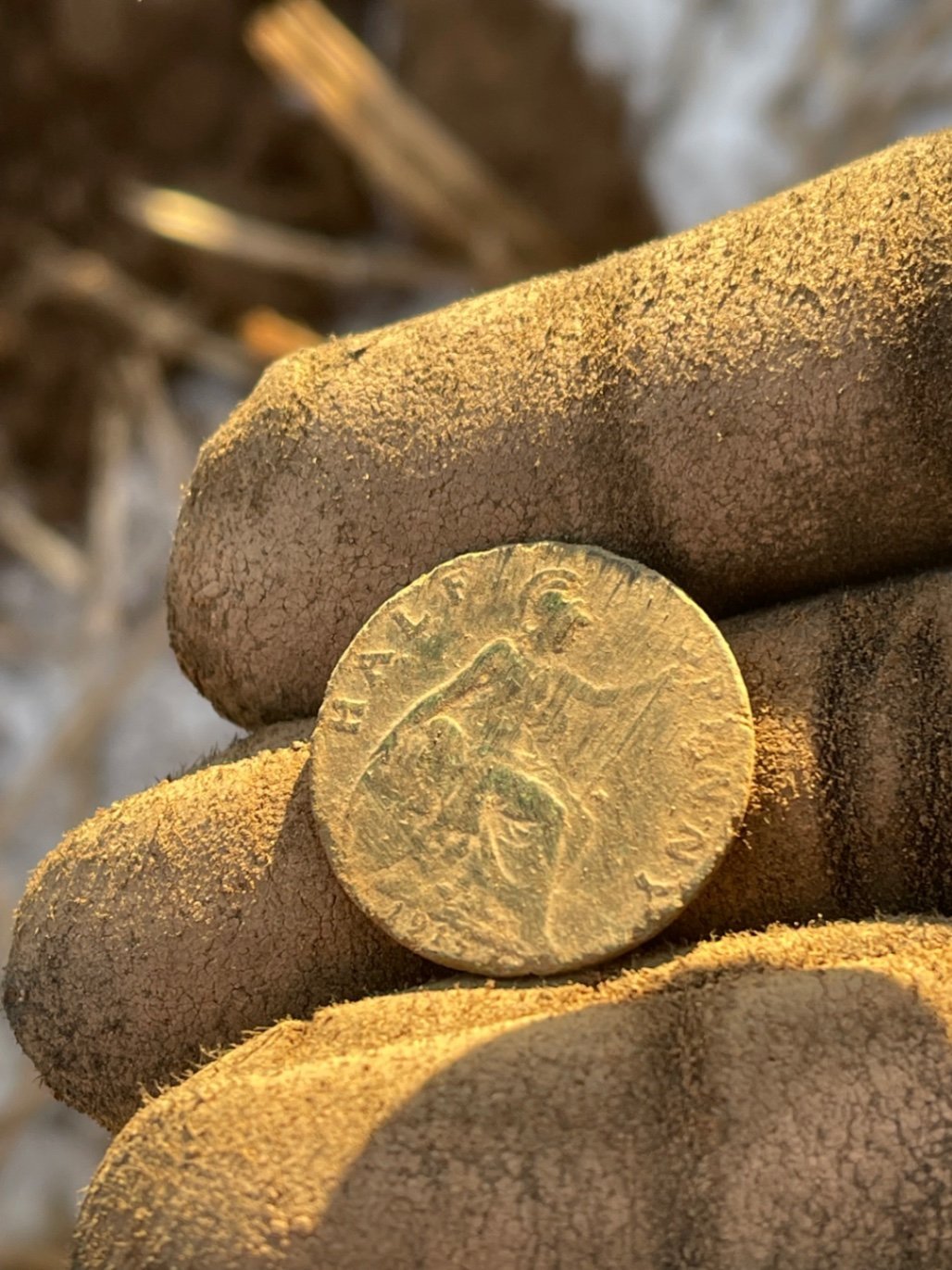 Community find image