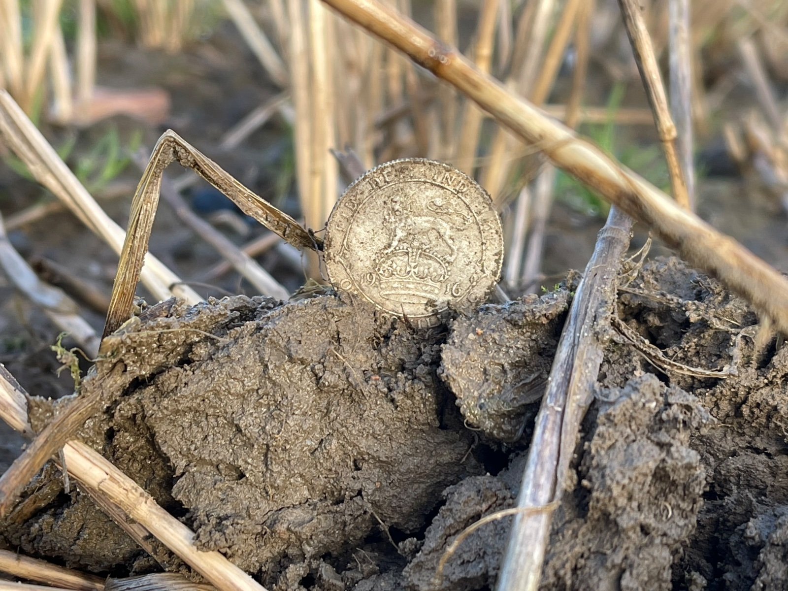 Community find image