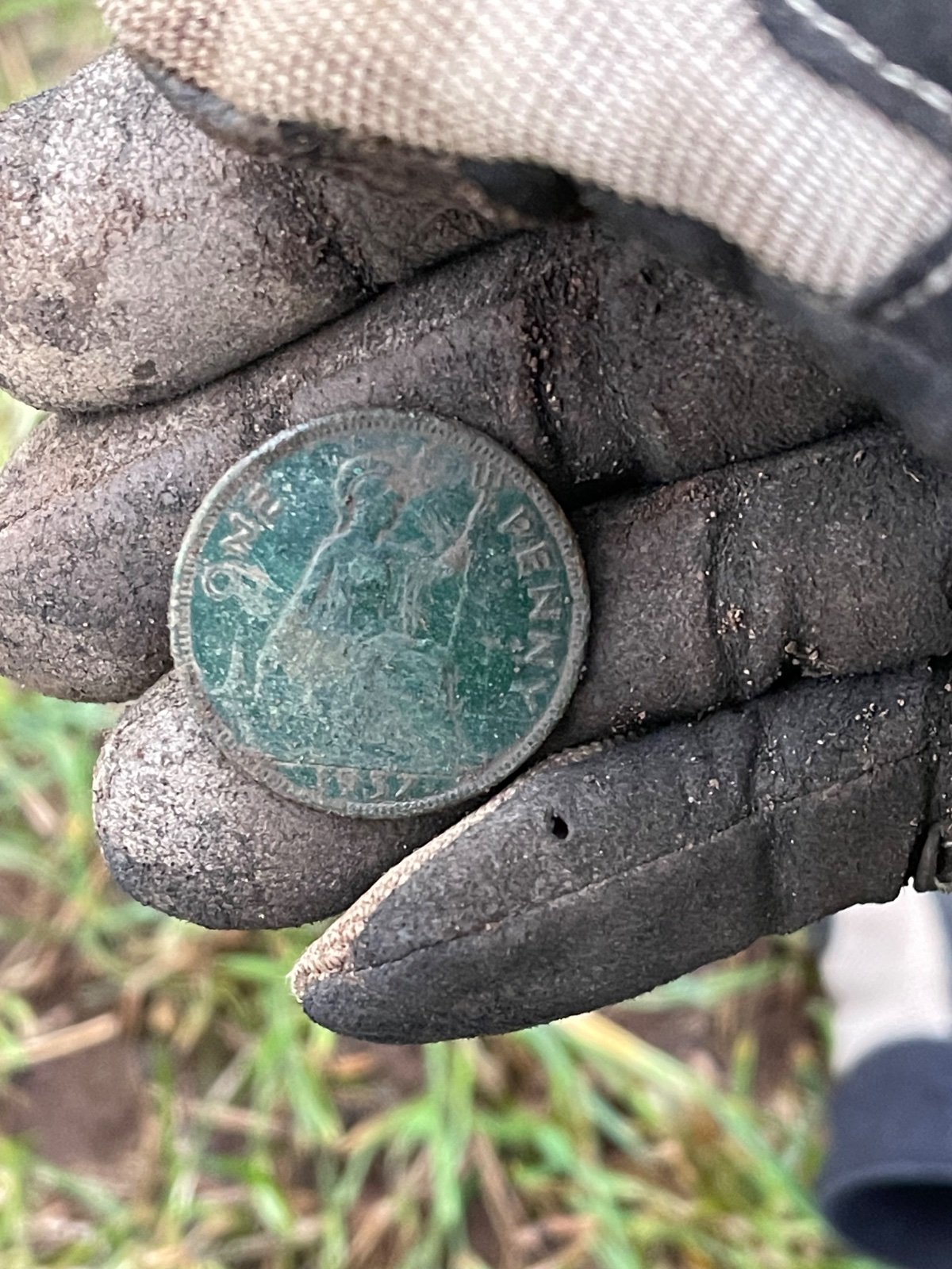 Community find image