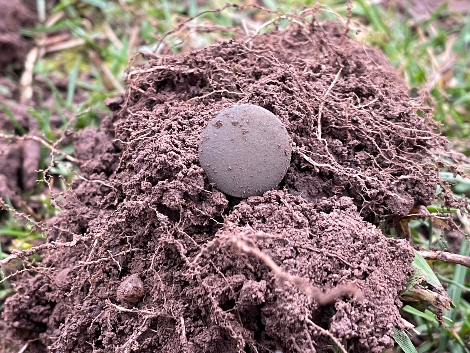 Community find image